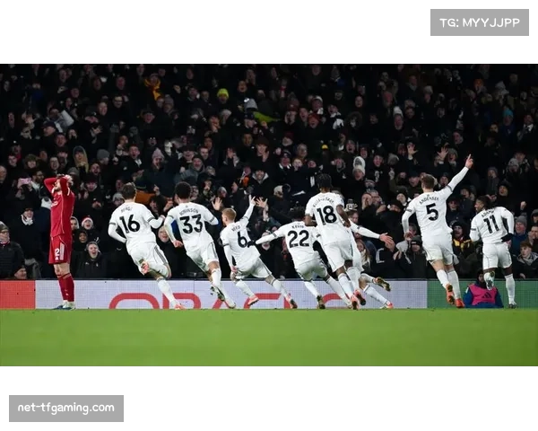 富勒姆补时绝杀布莱顿 哈里威尔逊任意球锁定胜局